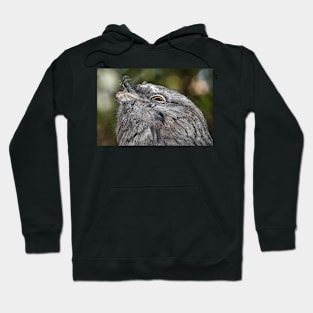 Tawny Frogmouth Resting Hoodie